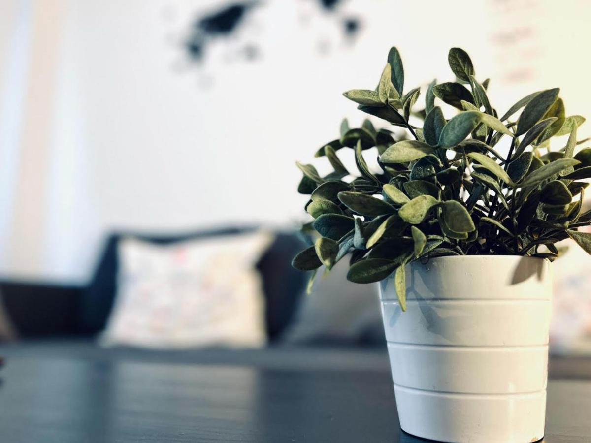 קורדובה Apartamento Pintor Palomino מראה חיצוני תמונה