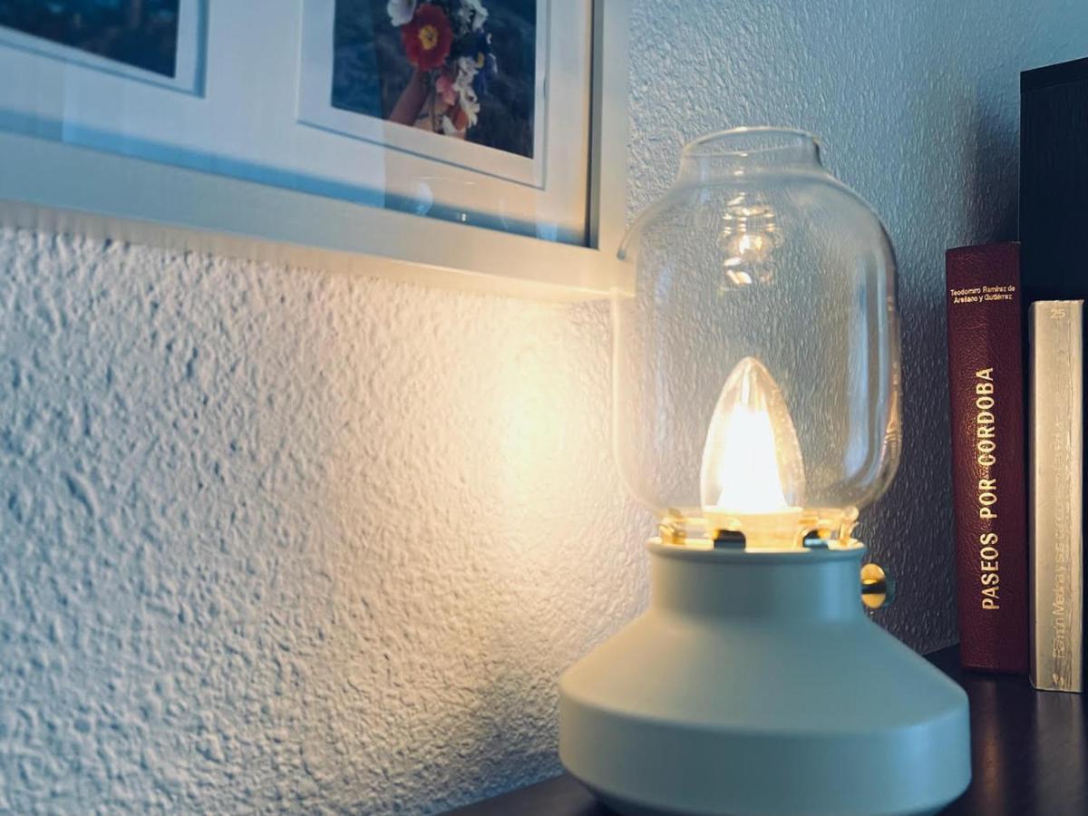 קורדובה Apartamento Pintor Palomino מראה חיצוני תמונה